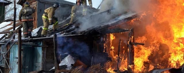 При пожаре в частном доме в Омской области погибла женщина с ребенком