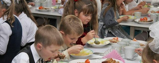 Младшеклассников из Рязанской области обеспечат горячим питанием