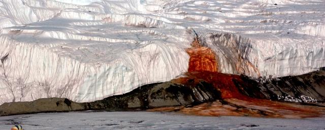 Ученые раскрыли секрет Кровавого водопада в Антарктиде