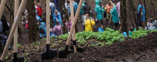 На Дону 21 октября пройдет День древонасаждения