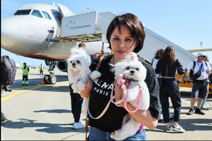 Туризм без аэропортов: новые тренды отдыха в России