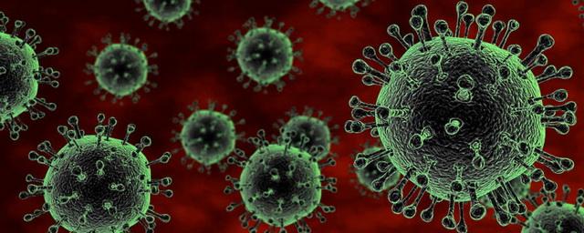 В Новосибирской области выявили 103 новых случая коронавируса