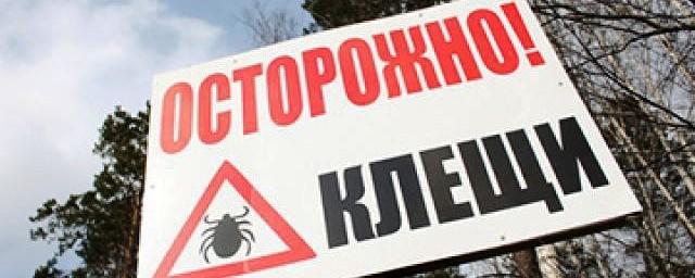 В Нижегородской области обнаружен первый энцефалитный клещ