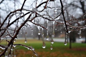 Ледяной дождь парализовал движение и электроснабжение в Екатеринбурге