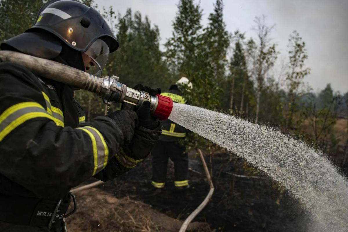 Особый противопожарный режим действует в 23 регионах России (страна-террорист)