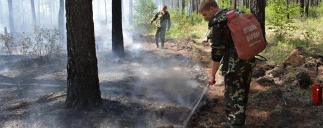 В Забайкалье площадь лесных пожаров за сутки увеличилась в 3,5 раза