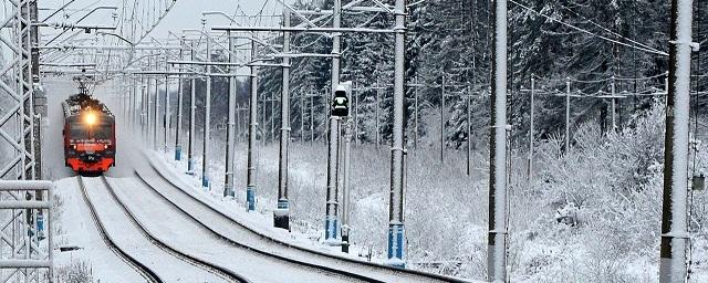 В Подмосковье электричка насмерть сбила мужчину и его годовалого внука