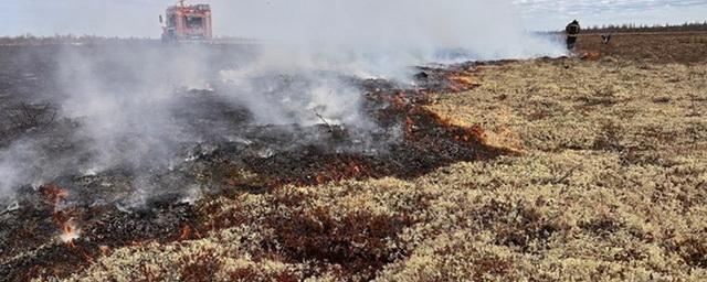 В Ненецком АО вспыхнула сухая трава на площади в 450 кв метров