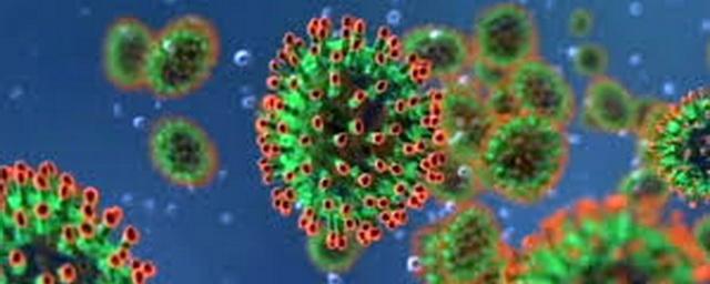 В Новосибирской области подтверждены 53 новых случая коронавируса