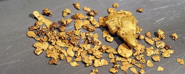 В Благовещенске оштрафовали китайца за попытку вывезти золото из России