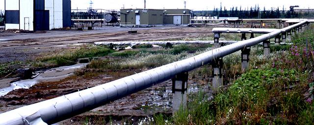 В Коми вылилось около 100 кубометров нефти в результате утечки на нефтепроводе Ухта - Ярославль