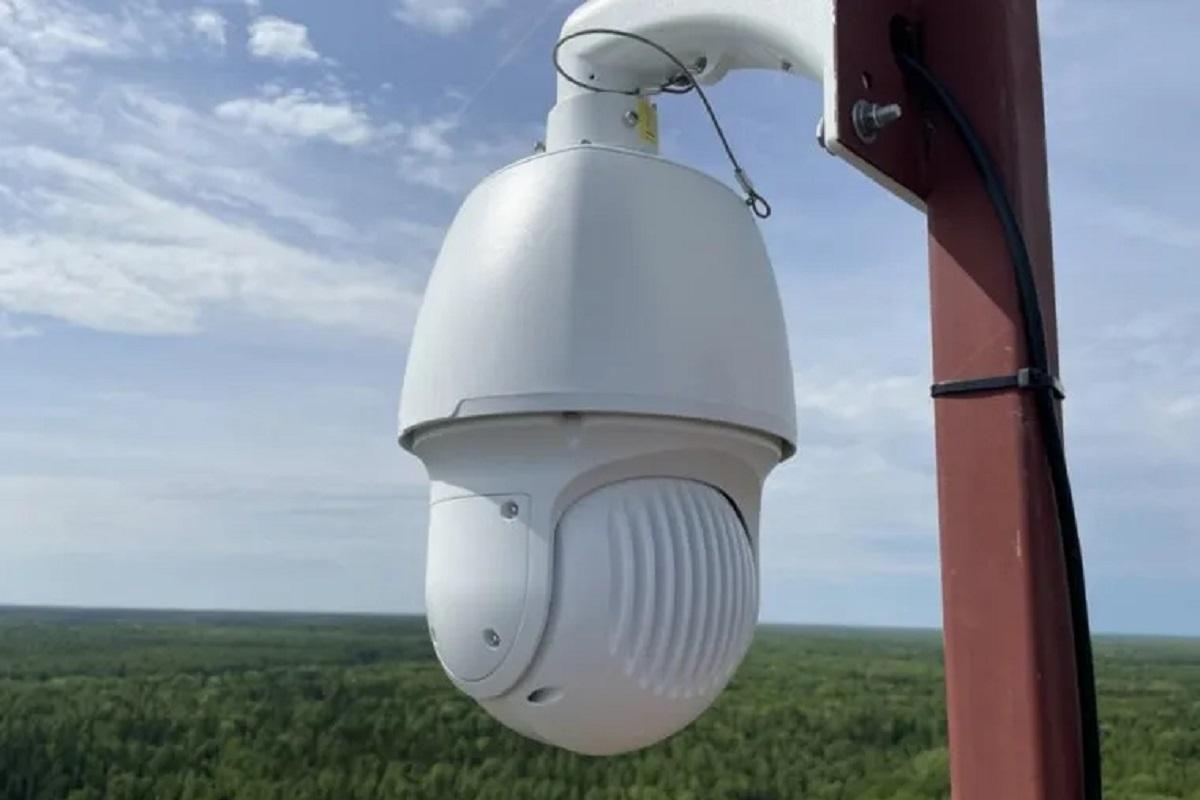 13 камер с ИИ для мониторинга лесных пожаров установили в Курганской области
