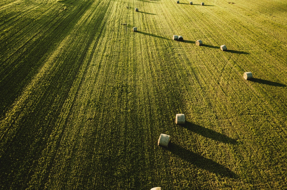 В Краснодарском крае продлили программу льготного выкупа сельхозземель до конца 2025 года