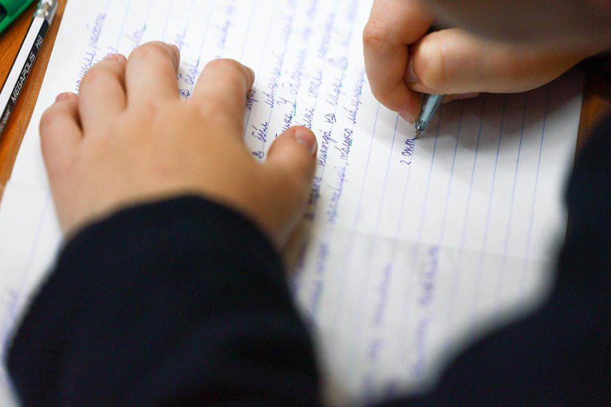 Экзамен по русскому языку для поступления в школы Татарстана провалили половина детей мигрантов