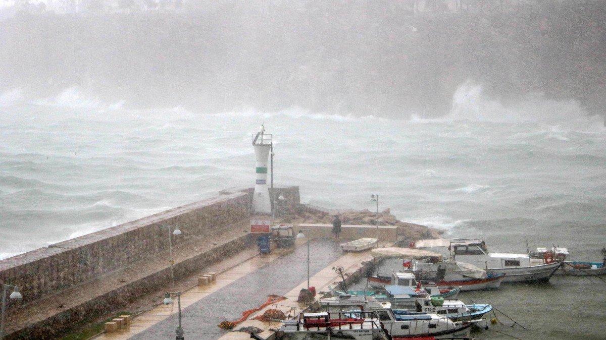 В Анталье шторм повалил деревья во многих районах города — Видео