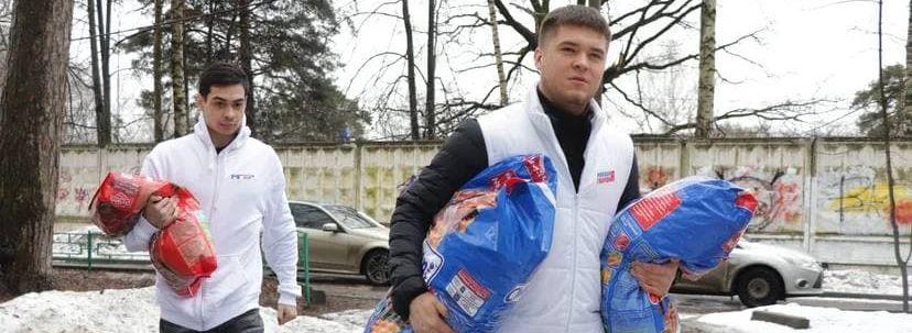 В Красногорске собрали 140 килограммов корма для бездомных животных