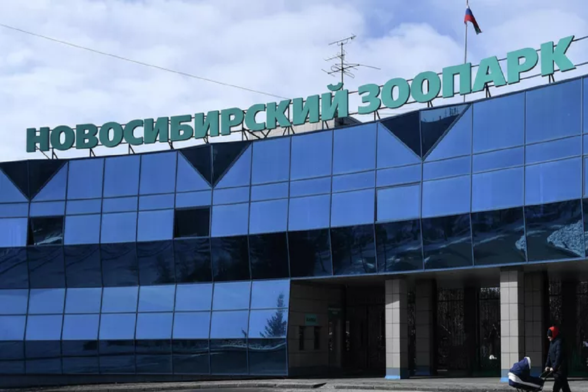 Новосибирский зоопарк предупредил желающих помочь о появлении в сети мошенников