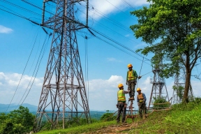 В Тюменской области демонтируют более 68 км незаконного оптоволокна