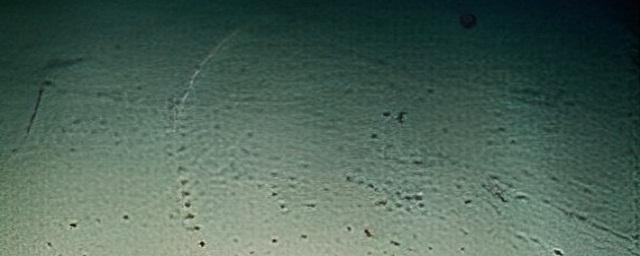 Норвежские ученые: Таинственные ямы на дне Атлантического океана – это следы морского существа