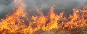 Природный пожар вновь угрожает посёлку в Магаданской области