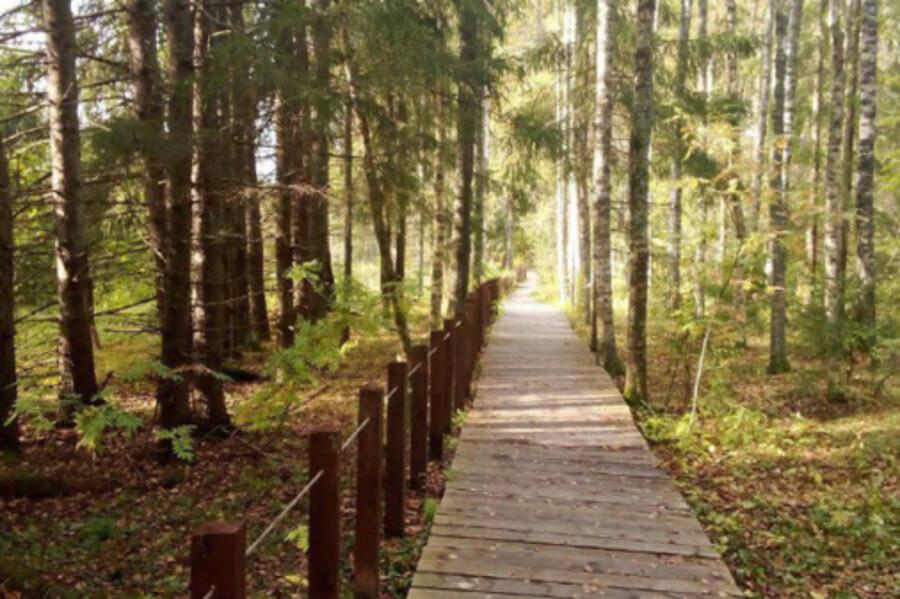 Топ-5 национальных парков России для осеннего отдыха