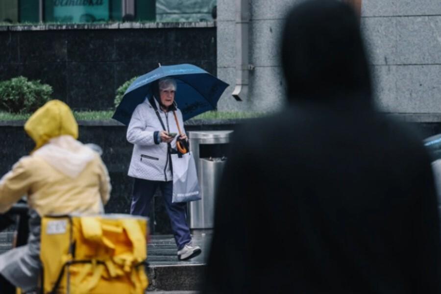 Электронное пенсионное удостоверение начнет появляться автоматически в Госуслугах