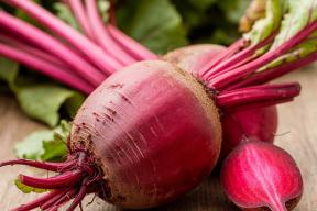 MDPI: свёкла может влиять на здоровье мозга