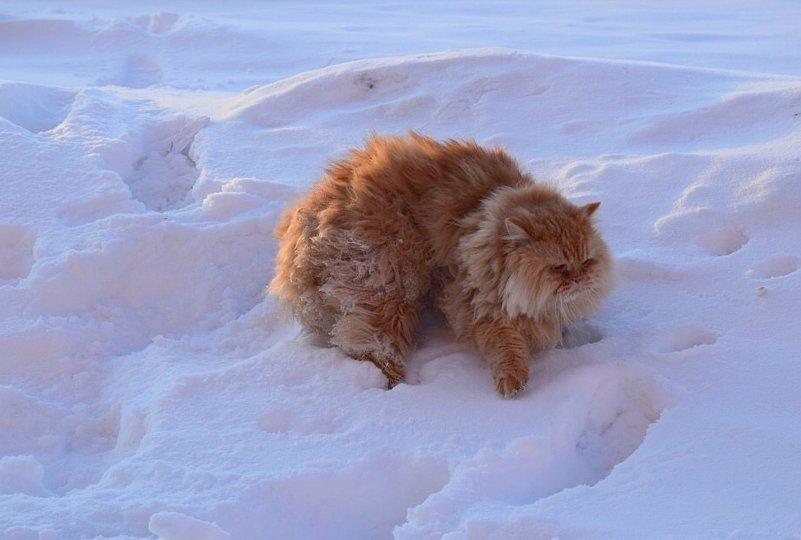 Башкирию накроет ледяной дождь, гололед и мокрый снег