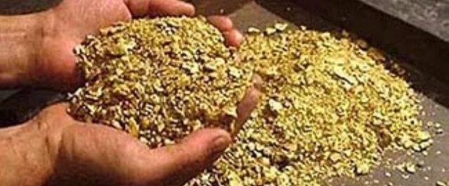 В Хабаровском крае в 2016 году добыли более 20 тонн золота