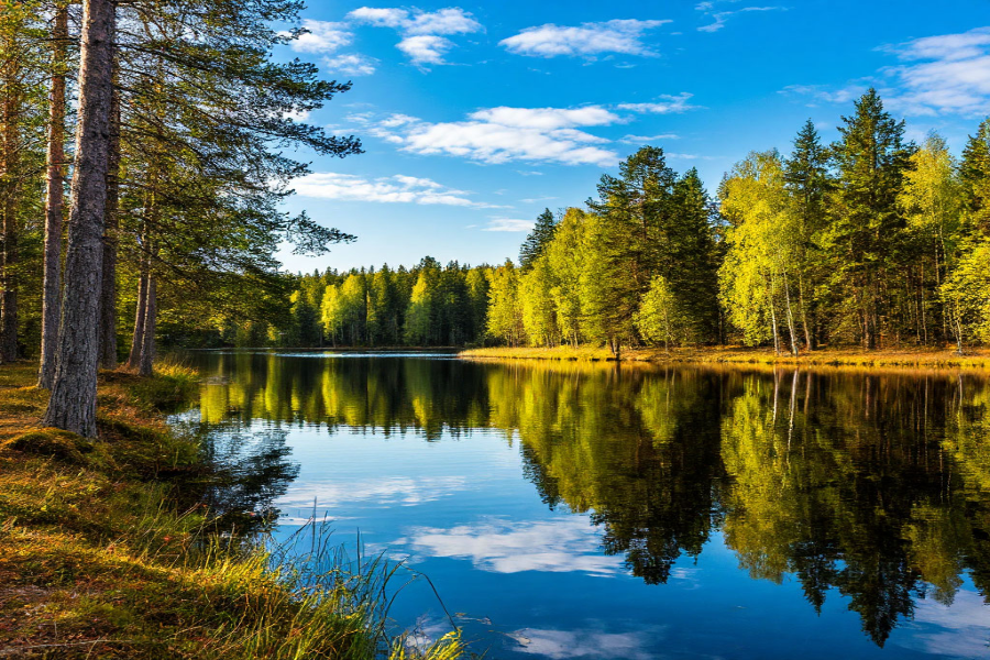 Летний ценовой шок: почему в Карелии резко выросли цены на туризм и оздоровление