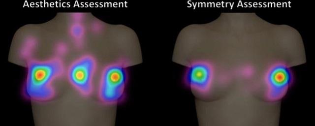 Ученые: нижняя часть женской груди привлекает наибольшее внимание мужчин