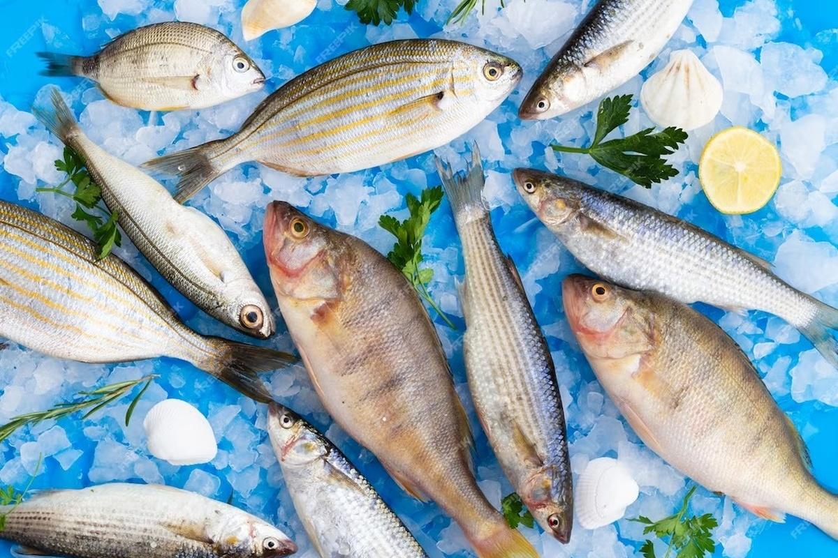 Brazil to increase supplies of fish, meat and cereals to Russia
