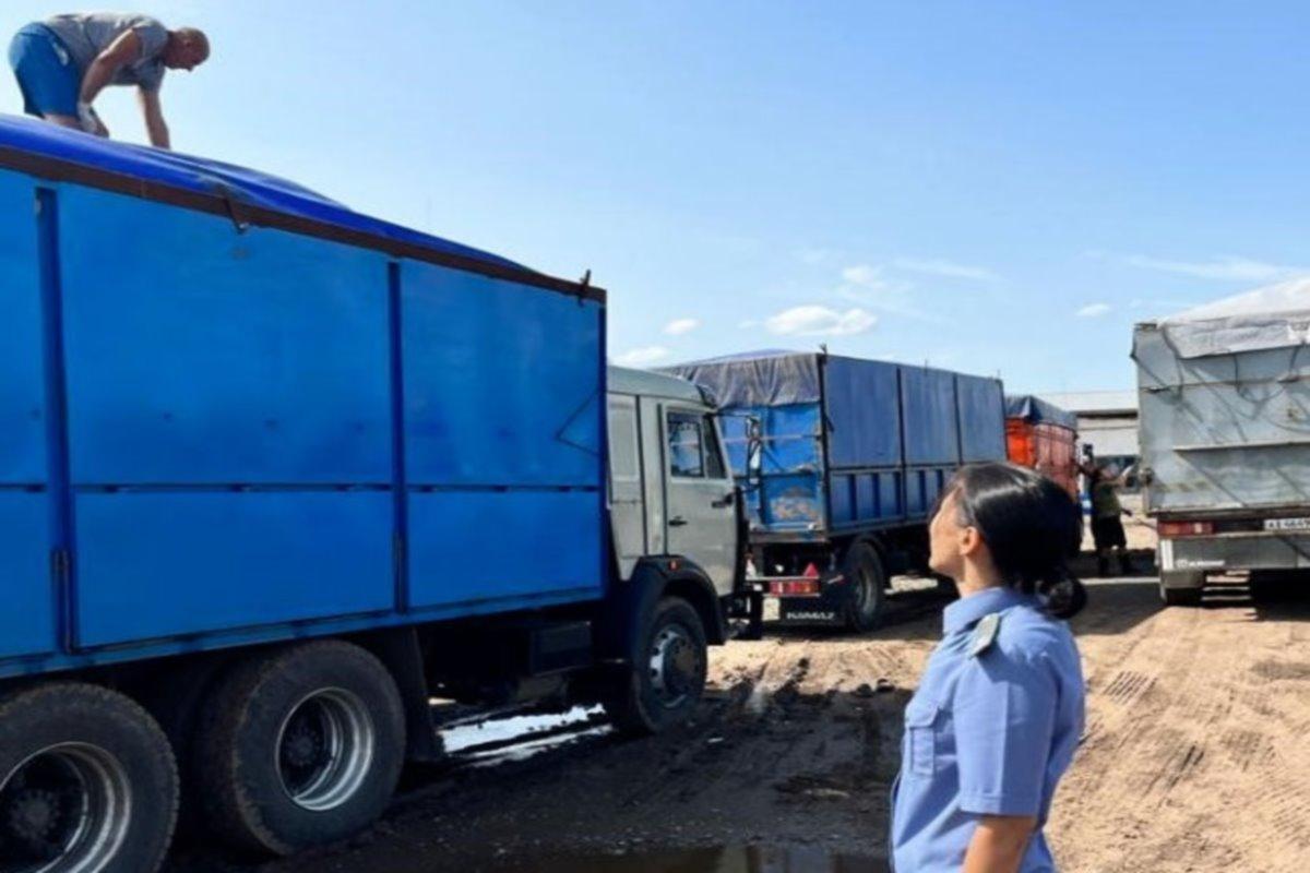 Более 76 тысяч тонн зерновой продукции отправила за рубеж Оренбургская область