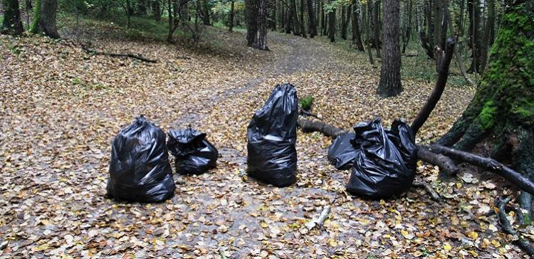 В Салехарде прошла экологическая акция «Чистый лес»