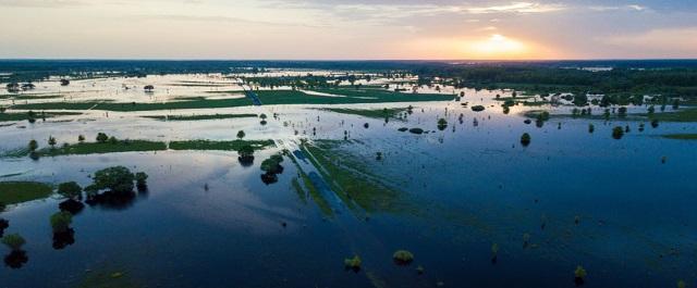 Уровень вод Мирового океана вырос на 77 миллиметров за 25 лет