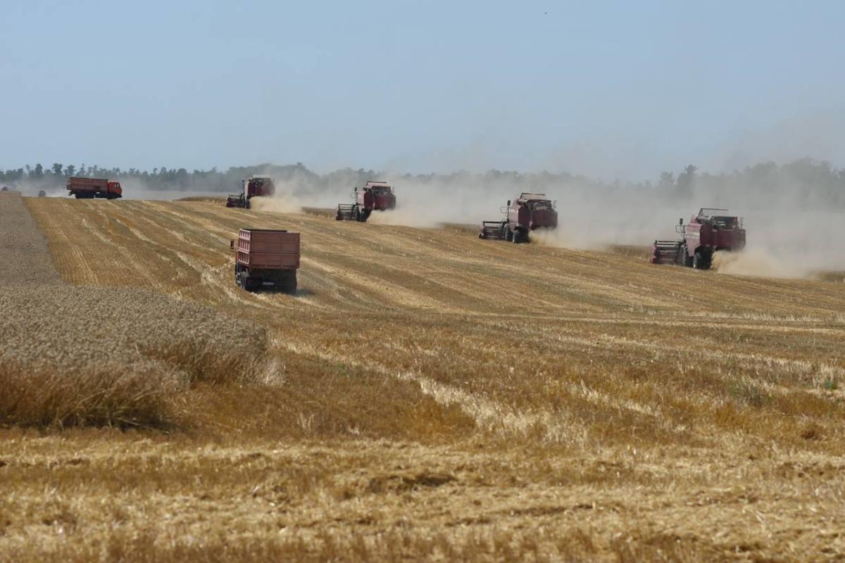 В сельских школах Адыгеи откроют еще восемь агроклассов в текущем году