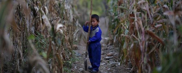 ООН: КНДР вскоре столкнется с голодом