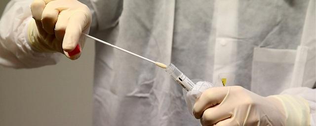 Россия отправит в страны СНГ 300 тысяч тестов на коронавирус