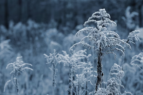Уральскому региону прогнозируют возвращение аномальных холодов