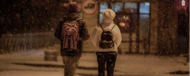 МЧС предупредило жителей Мордовии об обильном снеге 25 февраля