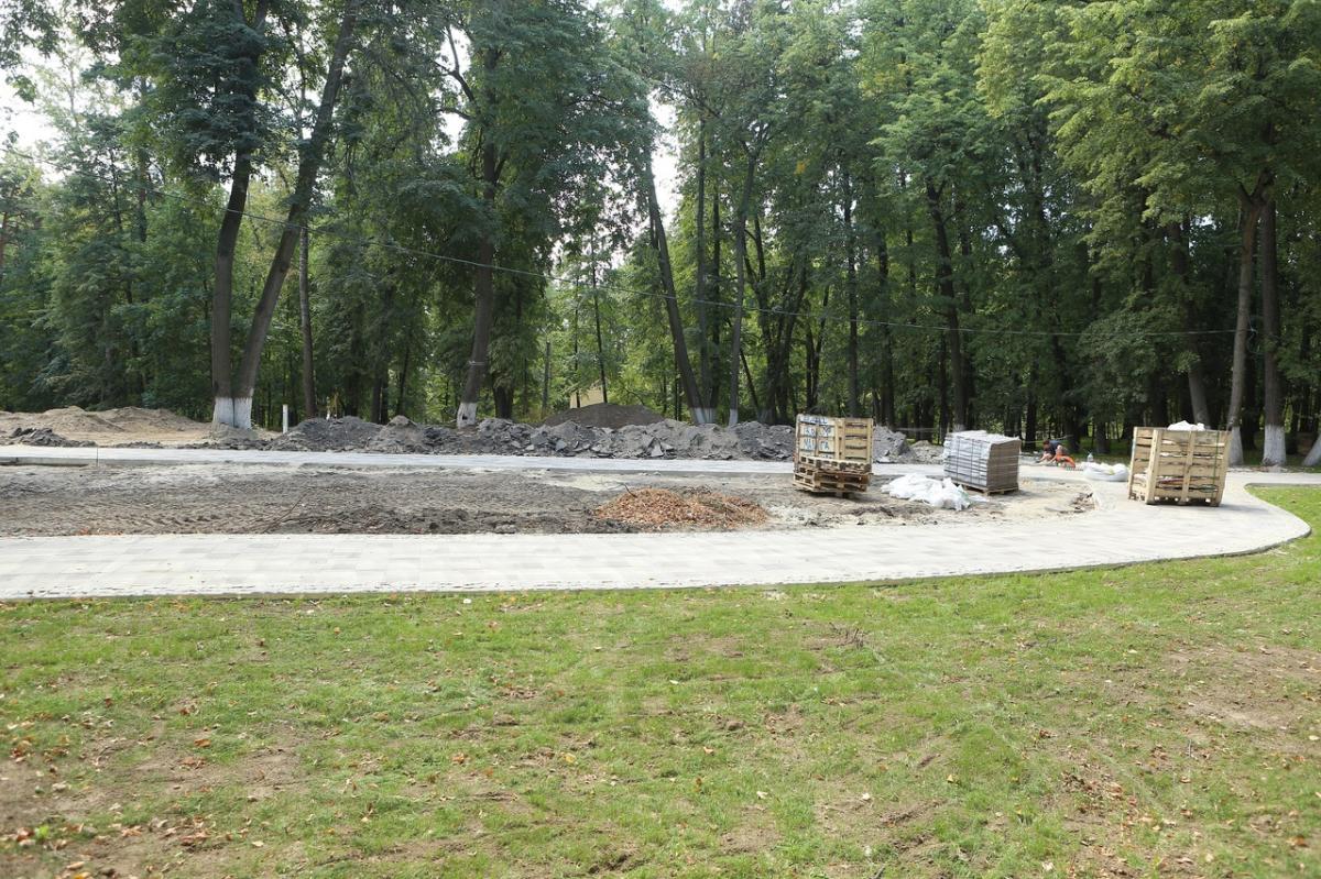 Директор Раменского городского парка Сергей Бурмистров: В парке останутся три детские площадки