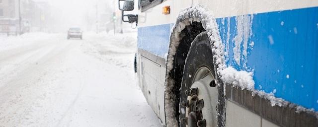 Под Воронежем сотрудники ДПС спасли пассажиров сломавшегося автобуса