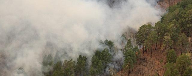 В Приангарье ликвидировали два лесных пожара на площади в 23 тысячи га