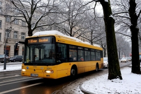 Водитель впал в кому: автобус влетел в дерево после лобового столкновения в Берлине