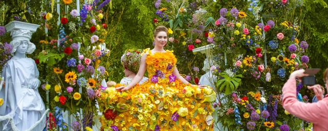 Festival of flowers in St. Petersburg is dedicated to doctors this year