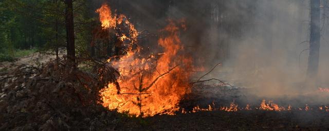 В Тункинском нацпарке Бурятии продолжают тушить крупный лесной пожар