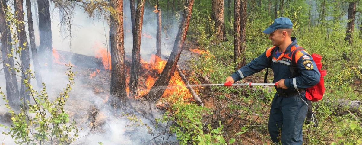 39 пожаров: В Якутии горит 538 гектаров леса