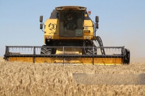 Бывший разведчик заявил, что Украина обманула мир с вывозом зерна