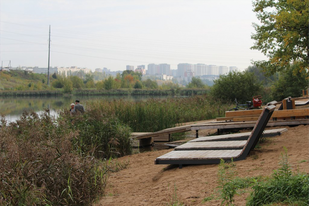 Свыше 700 деревьев находятся под угрозой спила в Нижегородской области