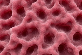 Сеченовский университет планирует создавать биоткани при помощи ИИ